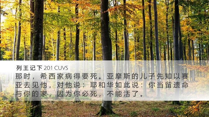 列 王 记 下 20:1 CUVS Bible Verse Image