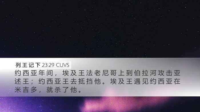 列 王 记 下 23:29 CUVS Bible Verse Image