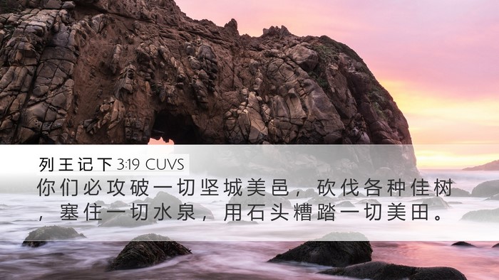 列 王 记 下 3:19 CUVS Desktop Wallpaper - 你 们 必 攻 破 一 切 坚 城 美 邑 ， - Desktop Bible Verse Wallpaper