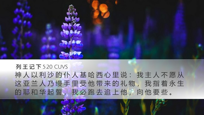 列 王 记 下 5:20 CUVS Bible Verse Image