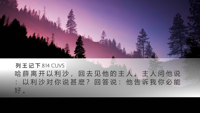 列 王 记 下 8:14 CUVS Bible Verse Image