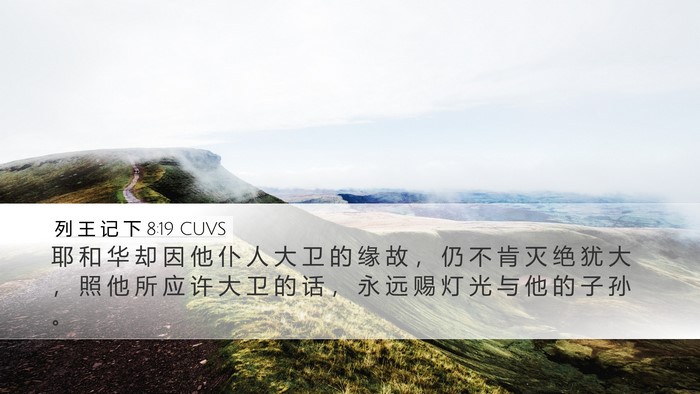 列 王 记 下 8:19 CUVS Bible Verse Image