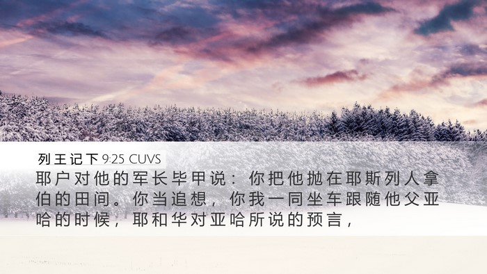 列 王 记 下 9:25 CUVS Bible Verse Image