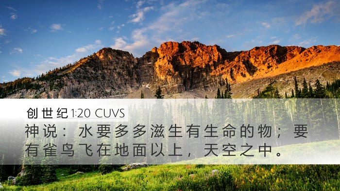 创 世 纪 1:20 CUVS Bible Verse Image