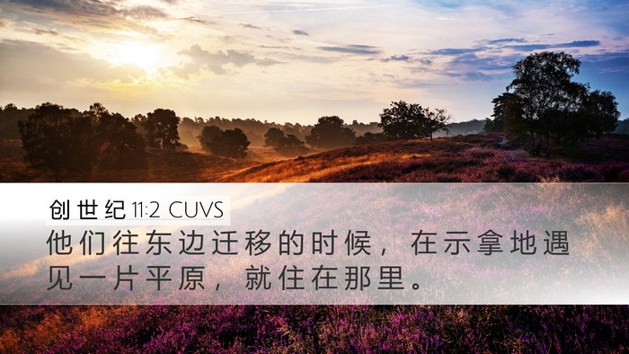 创 世 纪 11:2 CUVS Bible Verse Image