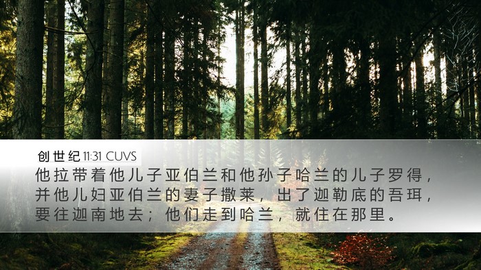 创 世 纪 11:31 CUVS Bible Verse Image