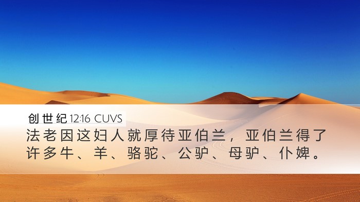 创 世 纪 12:16 CUVS Bible Verse Image