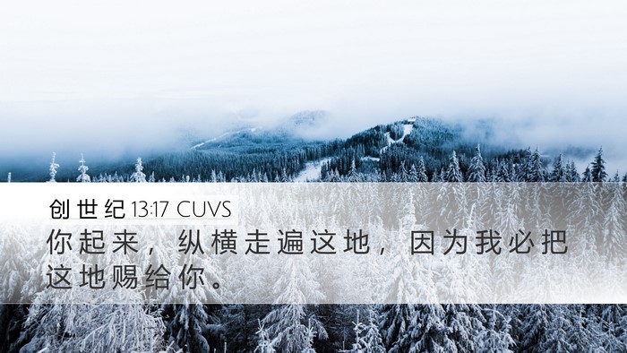 创 世 纪 13:17 CUVS Bible Verse Image
