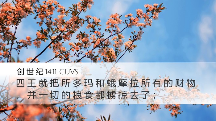 创 世 纪 14:11 CUVS Desktop Wallpaper - 四 王 就 把 所 多 玛 和 蛾 摩 拉 所 - Desktop Bible Verse Wallpaper