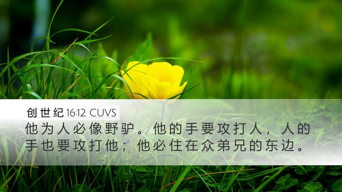 创 世 纪 16:12 CUVS Bible Verse Image