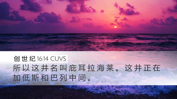 创 世 纪 16:14 CUVS Bible Verse Image