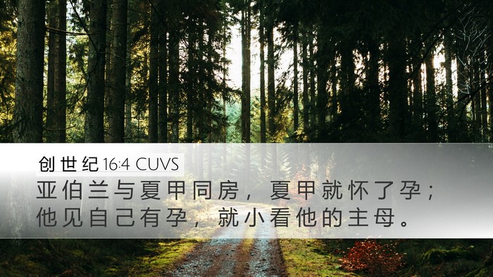 创 世 纪 16:4 CUVS Bible Verse Image