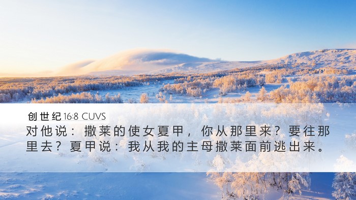创 世 纪 16:8 CUVS Bible Verse Image