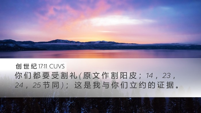 创 世 纪 17:11 CUVS Bible Verse Image