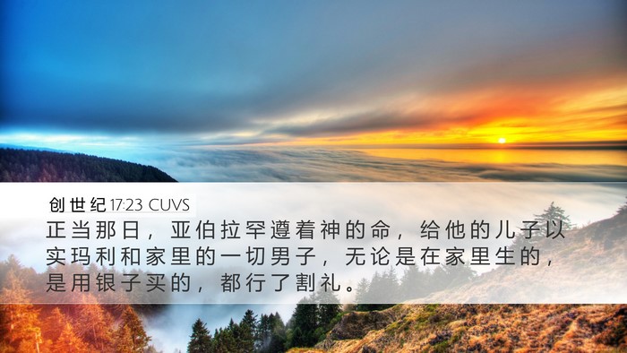 创 世 纪 17:23 CUVS Bible Verse Image