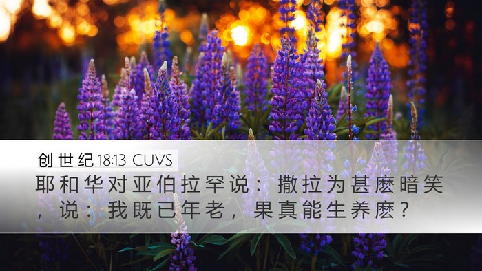创 世 纪 18:13 CUVS Bible Verse Image
