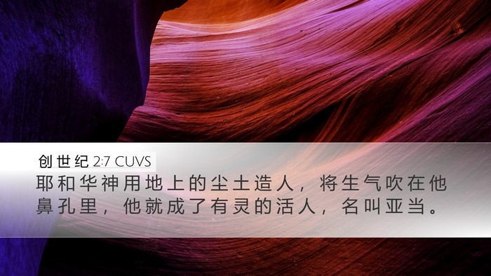 创 世 纪 2:7 CUVS Bible Verse Image