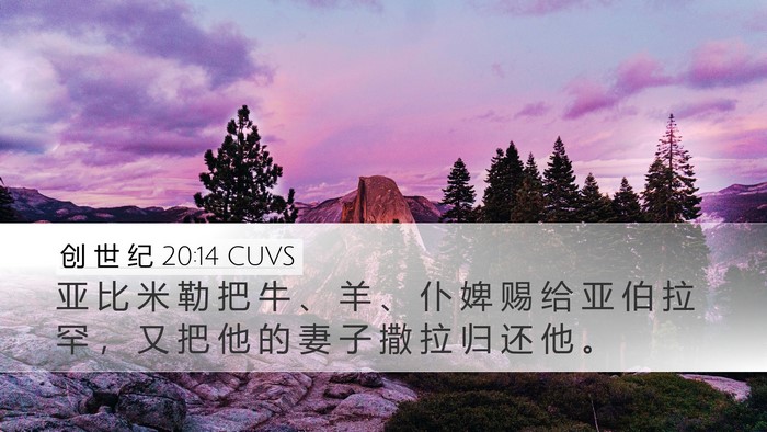创 世 纪 20:14 CUVS Bible Verse Image