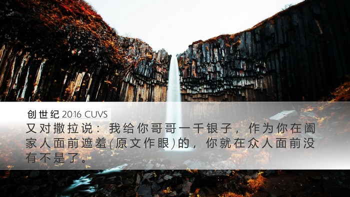 创 世 纪 20:16 CUVS Bible Verse Image
