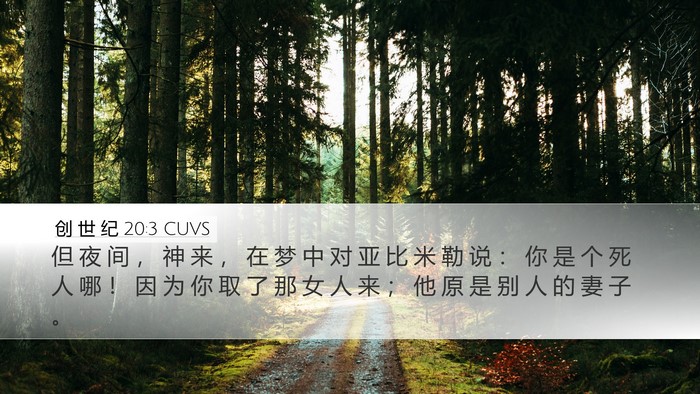 创 世 纪 20:3 CUVS Bible Verse Image