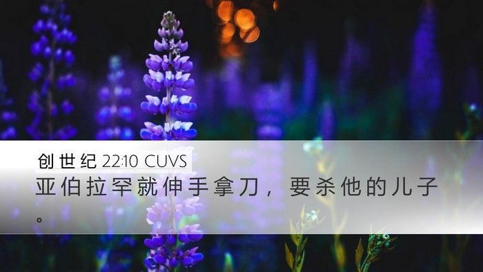 创 世 纪 22:10 CUVS Bible Verse Image