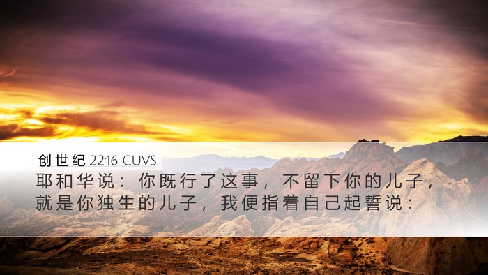 创 世 纪 22:16 CUVS Bible Verse Image