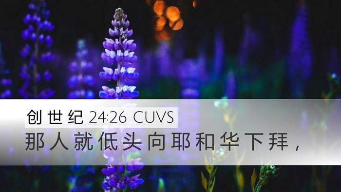 创 世 纪 24:26 CUVS Bible Verse Image