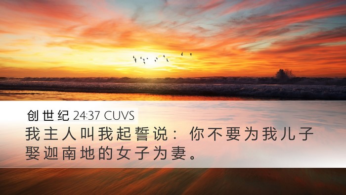 创 世 纪 24:37 CUVS Bible Verse Image