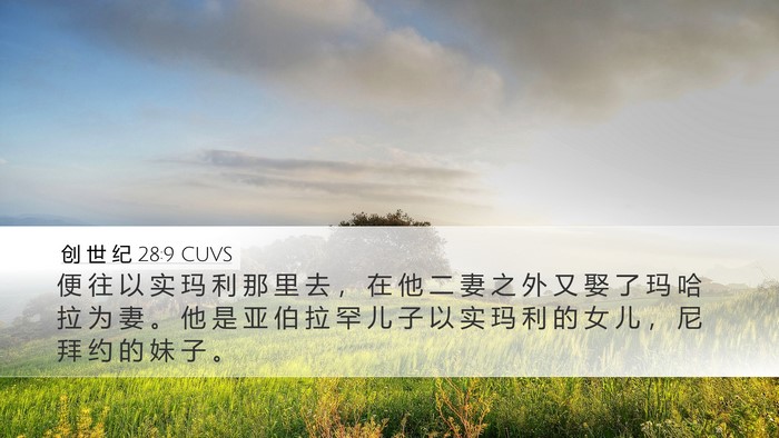 创 世 纪 28:9 CUVS Bible Verse Image