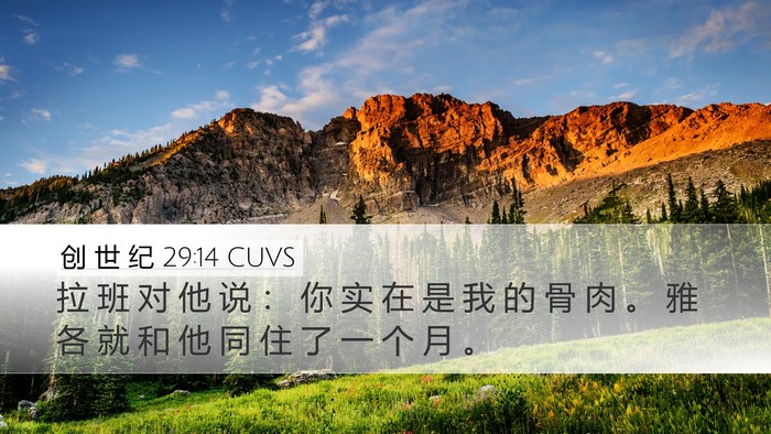 创 世 纪 29:14 CUVS Bible Verse Image