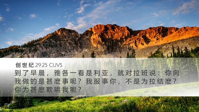 创 世 纪 29:25 CUVS Bible Verse Image