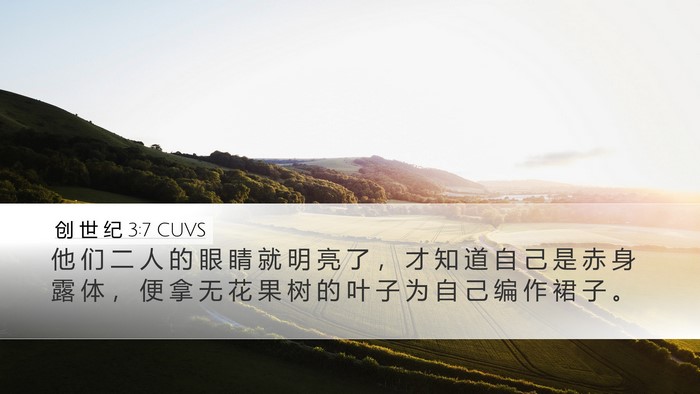 创 世 纪 3:7 CUVS Bible Verse Image