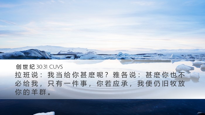 创 世 纪 30:31 CUVS Desktop Wallpaper - 拉 班 说 ： 我 当 给 你 甚 麽 呢 ？ - Desktop Bible Verse Wallpaper