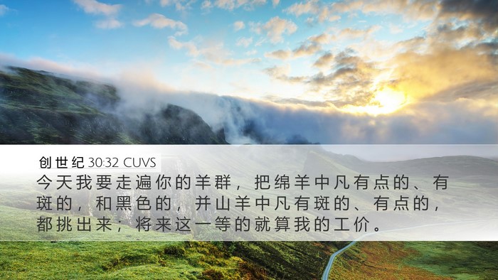 创 世 纪 30:32 CUVS Desktop Wallpaper - 今 天 我 要 走 遍 你 的 羊 群 ， 把 - Desktop Bible Verse Wallpaper