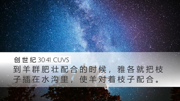 创 世 纪 30:41 CUVS Desktop Wallpaper - 到 羊 群 肥 壮 配 合 的 时 候 ， 雅 - Desktop Bible Verse Wallpaper