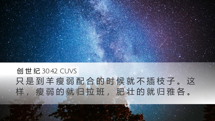 创 世 纪 30:42 CUVS Desktop Wallpaper - 只 是 到 羊 瘦 弱 配 合 的 时 候 就 - Desktop Bible Verse Wallpaper