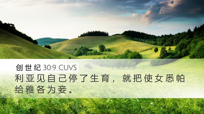 创 世 纪 30:9 CUVS Bible Verse Image