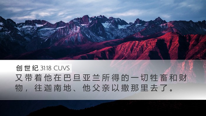 创 世 纪 31:18 CUVS Desktop Wallpaper - 又 带 着 他 在 巴 旦 亚 兰 所 得 的 - Desktop Bible Verse Wallpaper