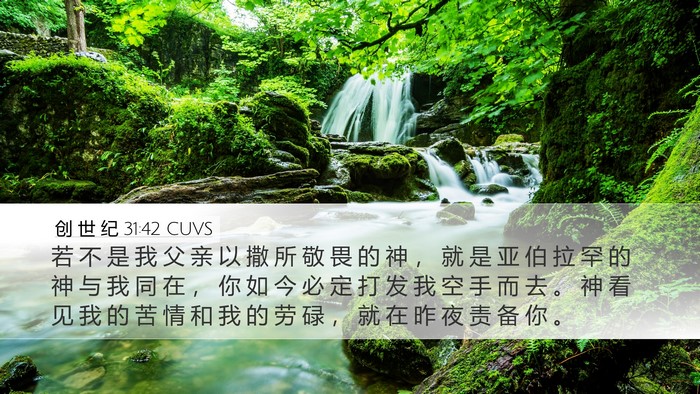 创 世 纪 31:42 CUVS Bible Verse Image
