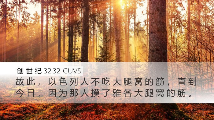 创 世 纪 32:32 CUVS Bible Verse Image