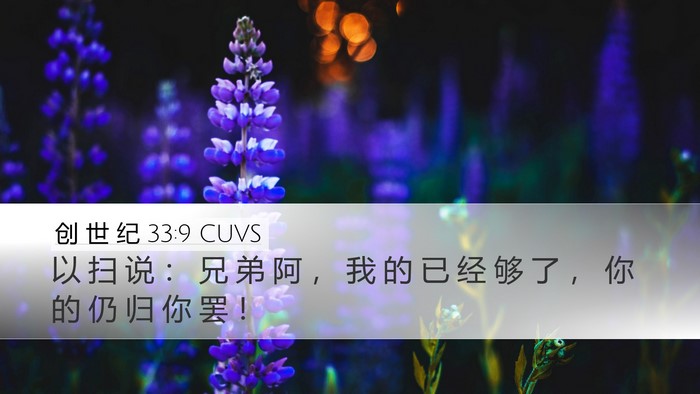 创 世 纪 33:9 CUVS Bible Verse Image