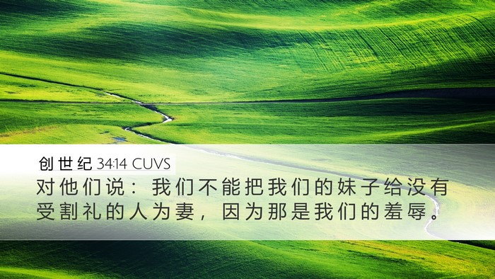 创 世 纪 34:14 CUVS Bible Verse Image