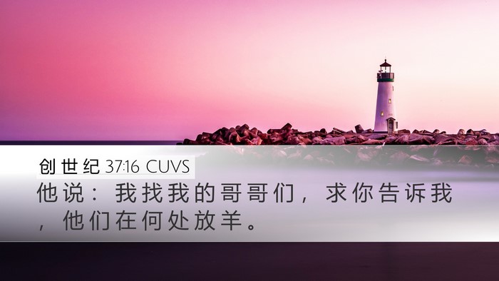 创 世 纪 37:16 CUVS Desktop Wallpaper - 他 说 ： 我 找 我 的 哥 哥 们 ， 求 - Desktop Bible Verse Wallpaper