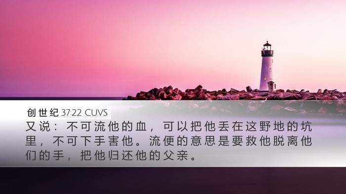 创 世 纪 37:22 CUVS Bible Verse Image