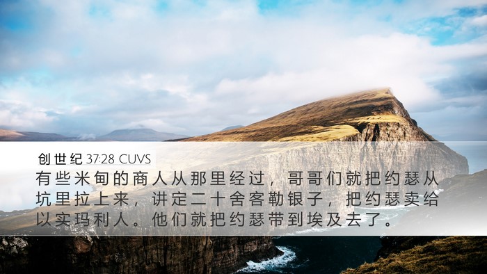 创 世 纪 37:28 CUVS Bible Verse Image