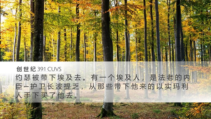 创 世 纪 39:1 CUVS Desktop Wallpaper - 约 瑟 被 带 下 埃 及 去 。 有 一 个 - Desktop Bible Verse Wallpaper