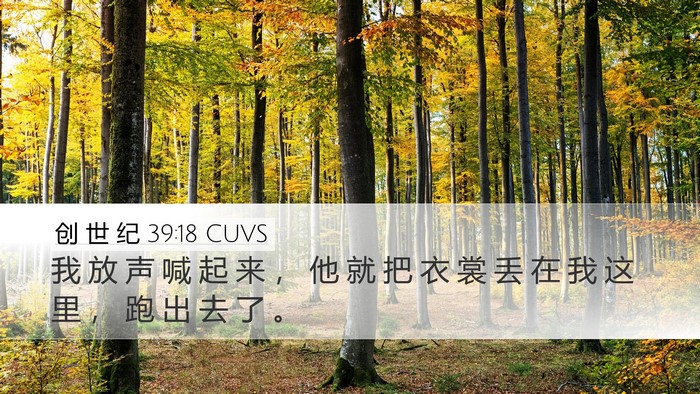 创 世 纪 39:18 CUVS Desktop Wallpaper - 我 放 声 喊 起 来 ， 他 就 把 衣 裳 - Desktop Bible Verse Wallpaper
