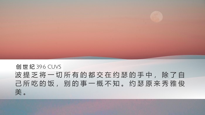 创 世 纪 39:6 CUVS Bible Verse Image