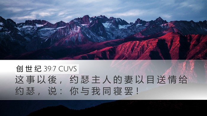 创 世 纪 39:7 CUVS Bible Verse Image
