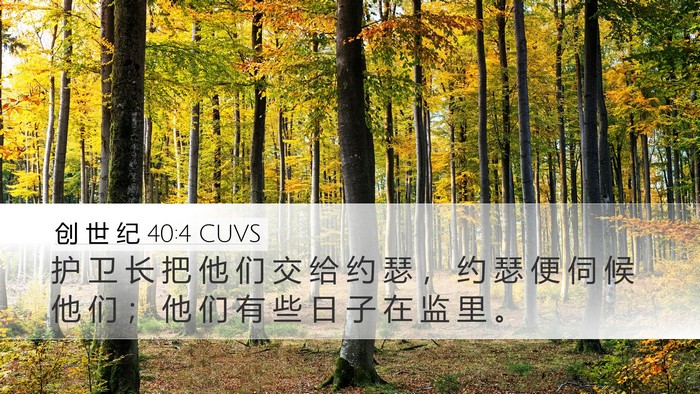 创 世 纪 40:4 CUVS Desktop Wallpaper - 护 卫 长 把 他 们 交 给 约 瑟 ， 约 - Desktop Bible Verse Wallpaper